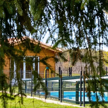 Pour 14 Personnes à Сasa de vacaciones Périssac
